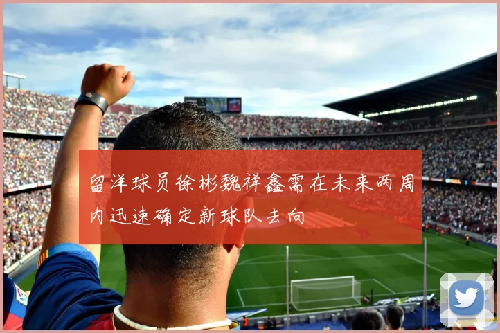 留洋球员徐彬魏祥鑫需在未来两周内迅速确定新球队去向